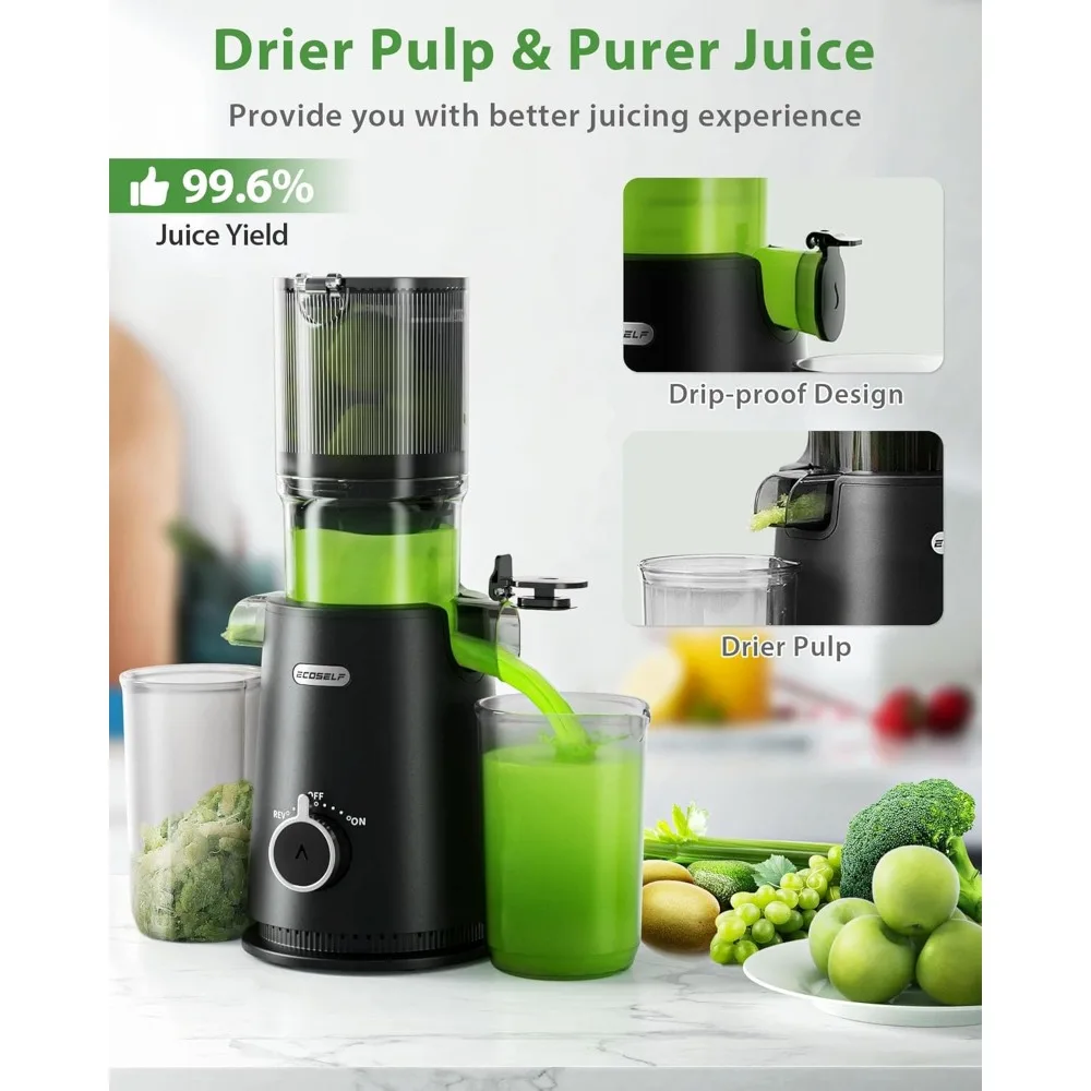 Juicer Machines, Cold Press Juicer with 4.35" Large Feed Chute Fit Whole Fruits and Vegetables, Easy to Clean