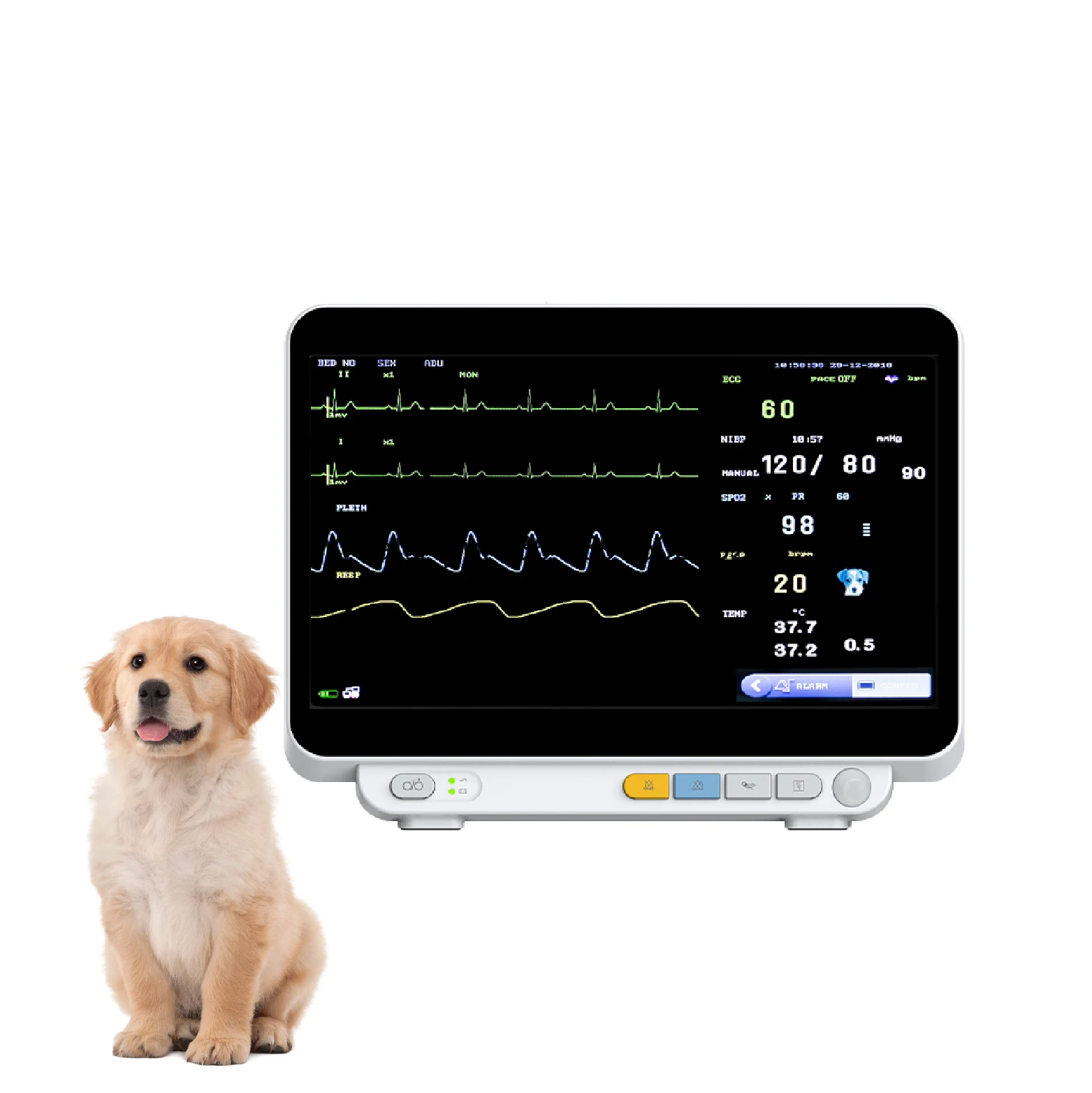 Animal Surgical Multi Parameter Veterinary Hospital Clinic Vet Vital Signs Monitor