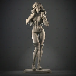 1/24 75mm 1/18 100mm Resin Model Kits Female Warrior Figurine Unpainted No Color RW-927