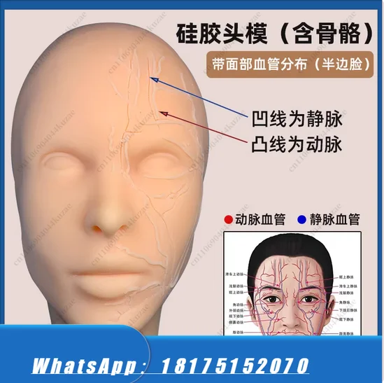HLH Microplastic Skin Injection Silicone Human Head Model - Hyaluronic Teaching Props