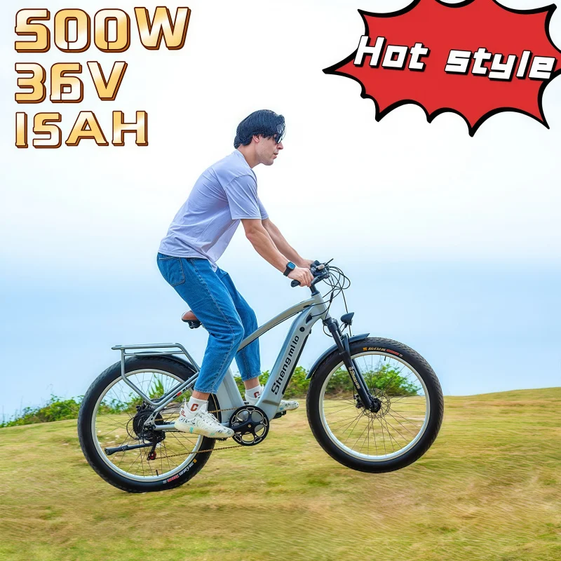 

ebike 500W motor 48V 15AH lithium battery mountain adult off-road moped city