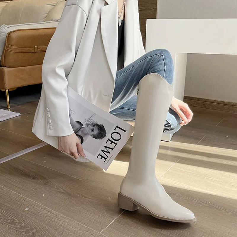 Women Knee High Boots Spring Autumn Pointed Toe Elegant Modern Boots Fashion Zipper Long Shoes Ladies Booties