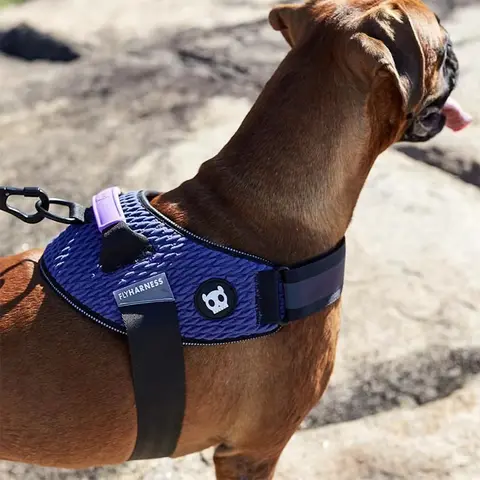 Nouveauté selle tissée à la mouche petit-grand harnais pour chien Golden Retriever Doberman Pit Bull Arnes Para Perro chiens accessoires