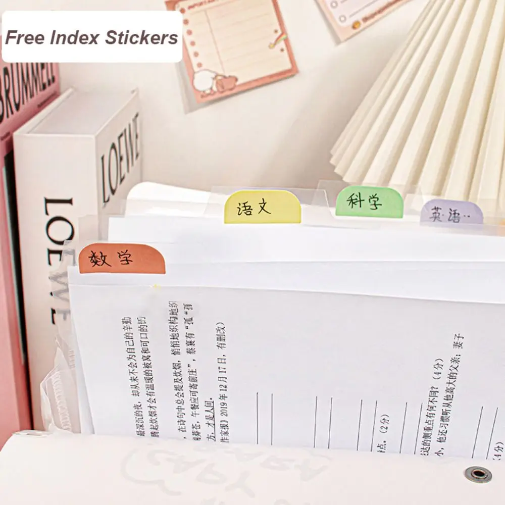 New Capybara A4 File Folder Creative Cartoon File Organizer 8/12 Pockets Large Capacity Portfolio