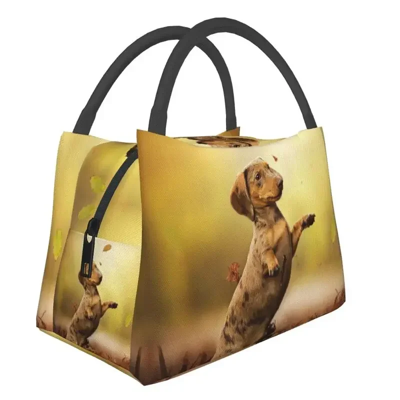 Cute Dachshund Dog Insulated Lunch Bags for Women Sausage Wiener Badger Dogs Portable Thermal Cooler Bento Box Work Travel