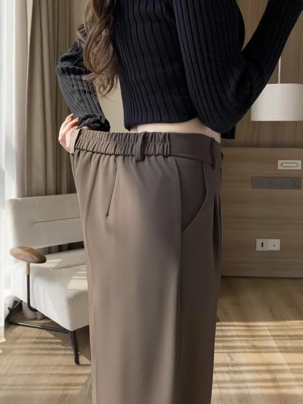 Casual Drapey Suit Pants Women's Spring Autumn 2026 New Small Size Elastic Waist Straight Loose Wide Leg Pants
