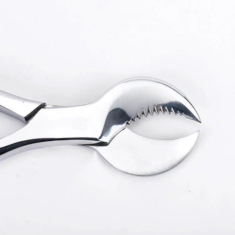 Plaster Scissors Cutting Pliers Gypsum Shears Laboratory Tools