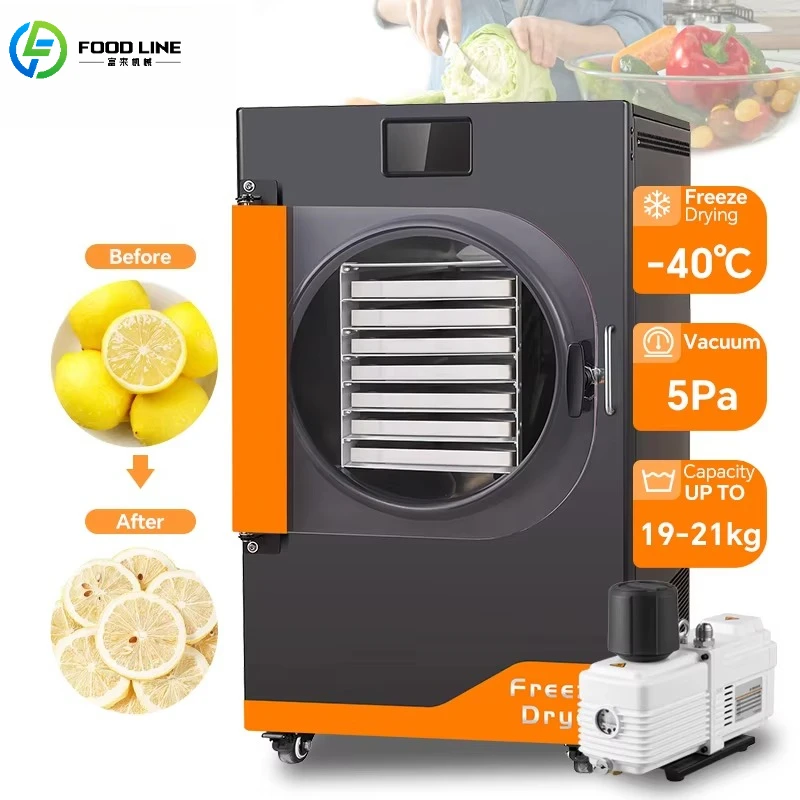 Customized Factory Manufacture 4-6kg Vacuum Freeze Dryer with 5 Stainless Steel Trays for Preserving Fruits Meats