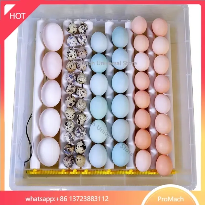 High-quality fully automated commercial  Better hatching model Poultry