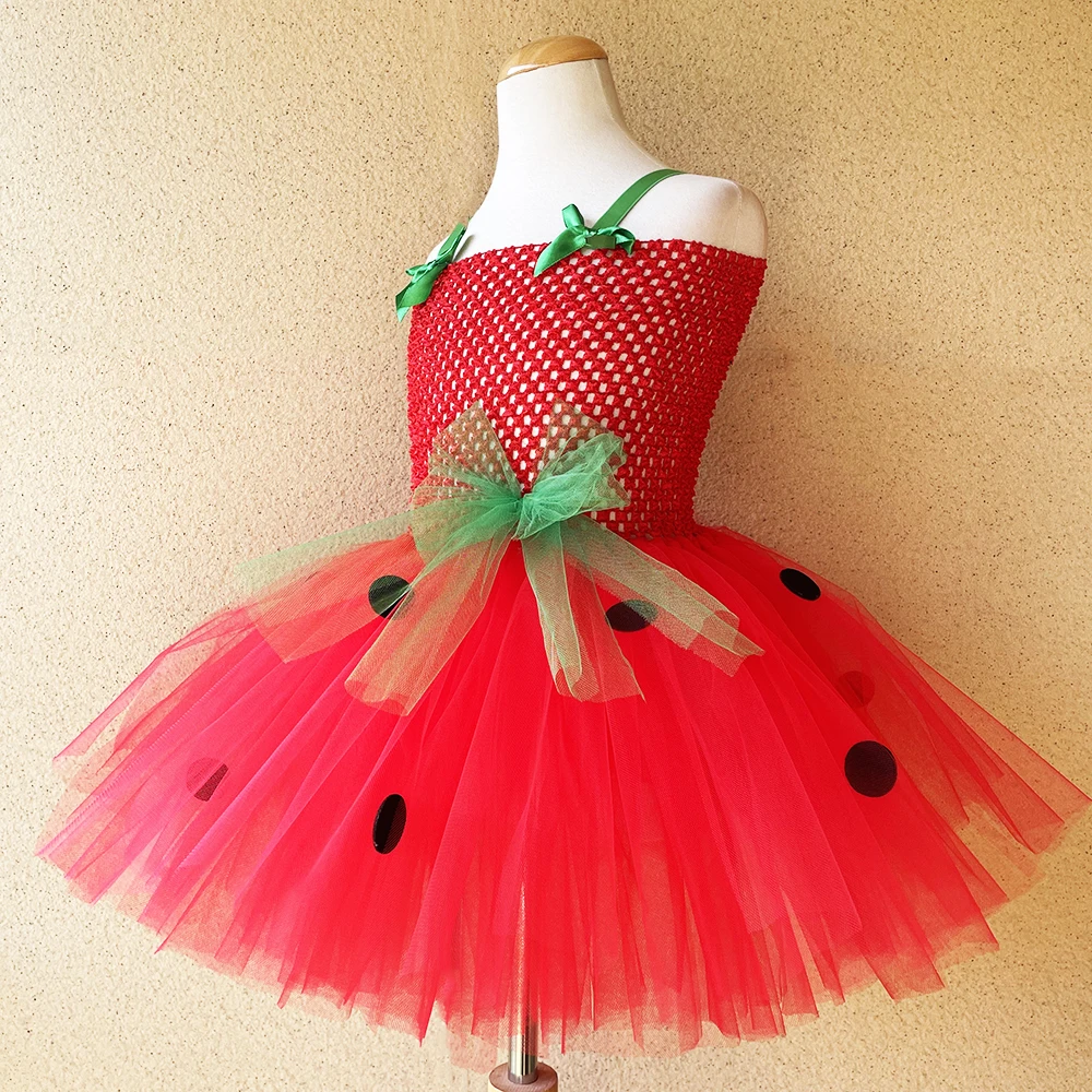 Strawberry Tutu Dress  Princess Dresses for Birthday Costume Watermelon Halloween Christmas Costumes