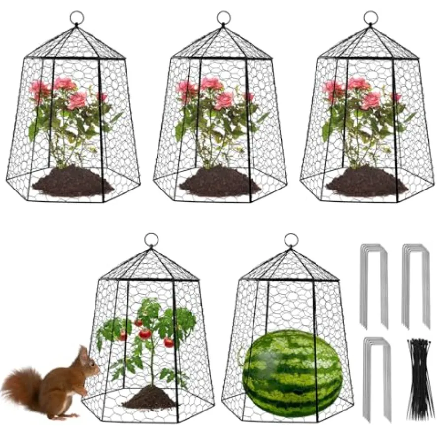 

Garden plant protection cage galvanized steel silver 18.5 x 13 5 pcs for fruits and seedlings against rabbits squirrels and ani