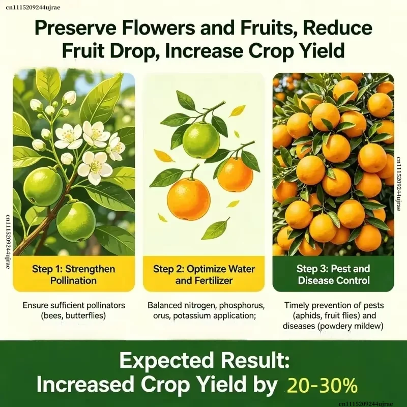6-BA Powder 6-Benzylaminopurine Cytokinin Plant Growth Regulator Promote Germination Cell Division Garden Farm Use
