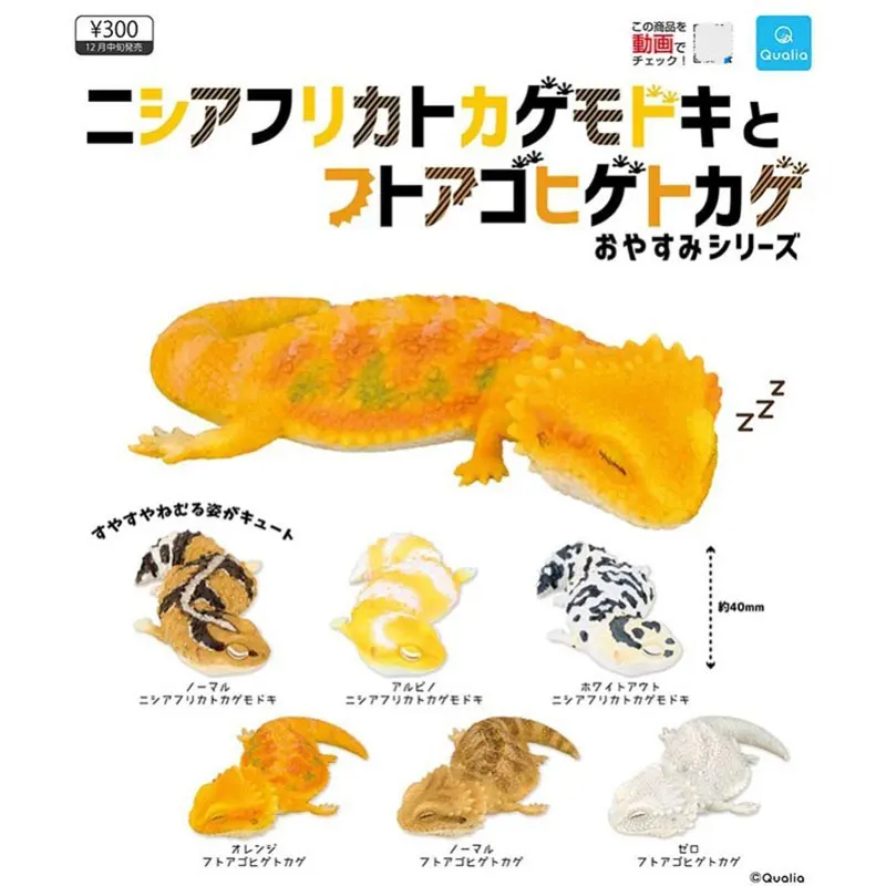 Japanese Bandai Genuine Gacha Scale Model Lunch Break Bearded Lion Lizard and Fat Tail Moriya Sleeping Lizard Action Figure Toys