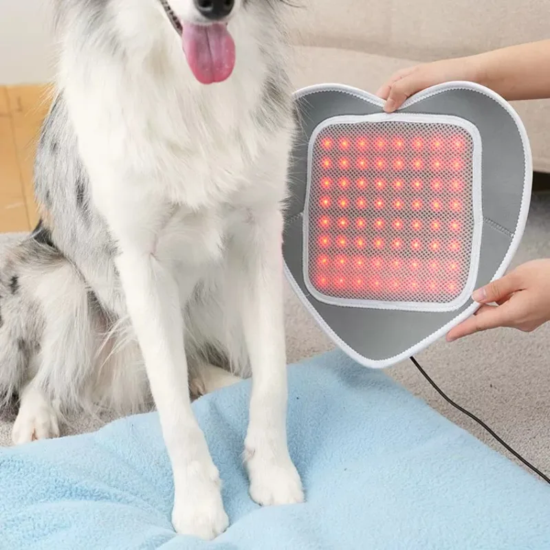 ZONGYAN Pet Infrared Therapy Pad LED Red Light Physiotherapy Mat For Joint Patella Pain Relief Home Veterinary Care Dogs Cats