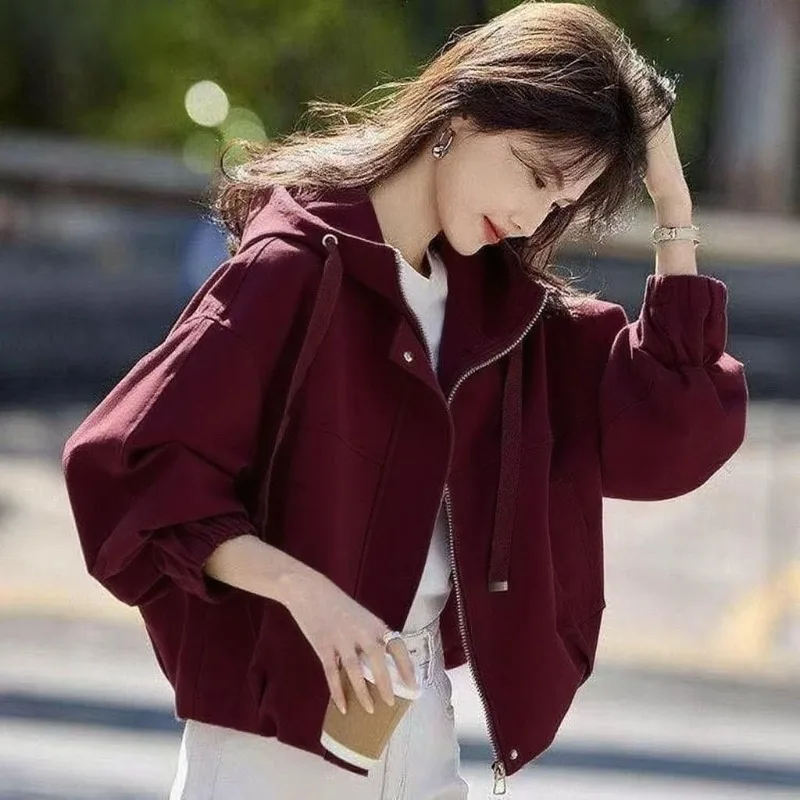 Giacca classica versatile corta con cappuccio Giacca d'assalto 2025 Nuova giacca da esterno comoda semplice casual allentata primaverile e autunnale