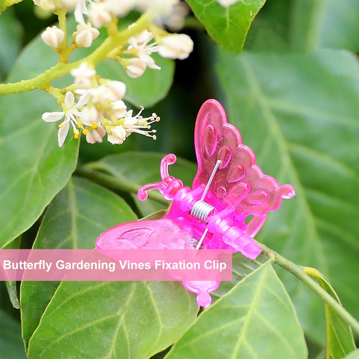 

30Pcs Garden Plant Clips Heavy Duty Flower Vine Fixing Clamps for Orchid Bonsai Grape Support Ladybug Shaped Gardening Tools