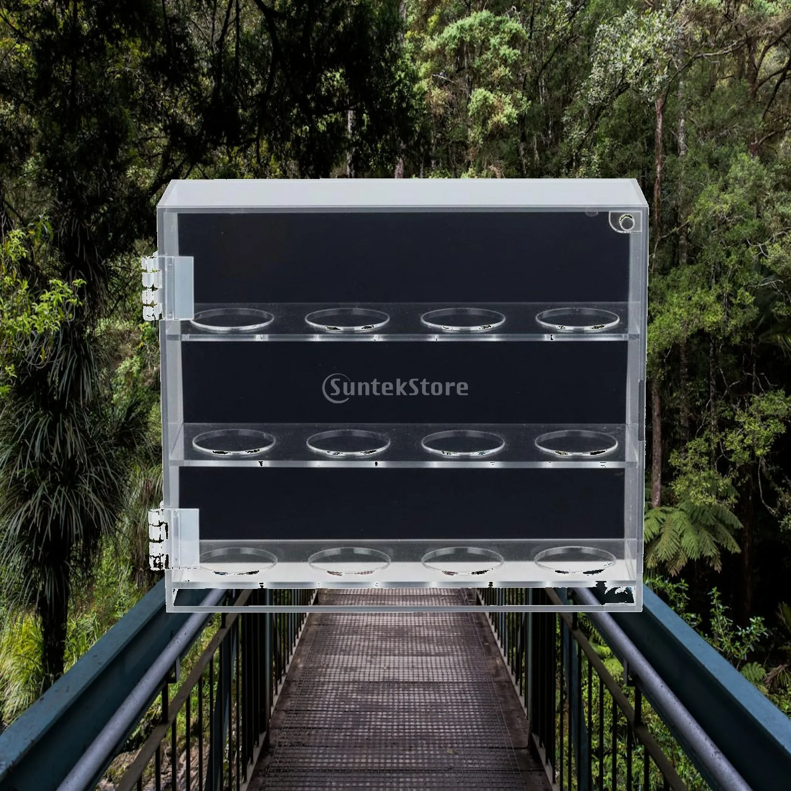 Acrylic Golf Ball Display Case Dust-Shielded Golf Ball Display Case Dustproof