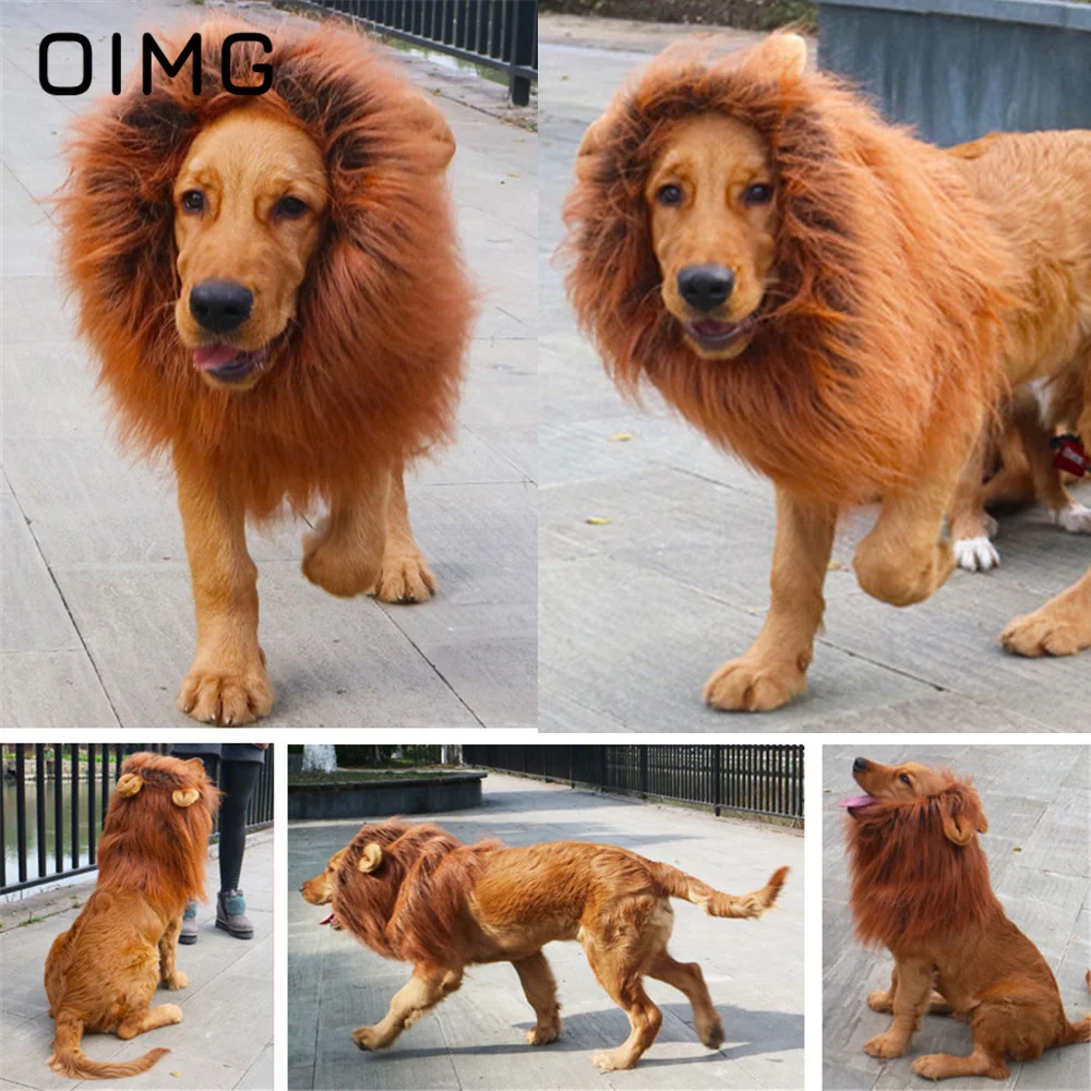 OIMG New Pet Hat Accessories Dog Cat Funny Sell Cute Wig Lion Head Cover Hat Golden Retriever Labrador Border Terrier