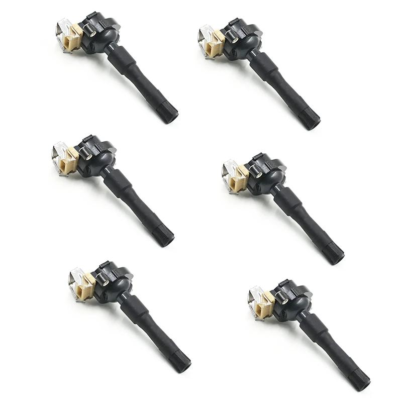 

6X IGNITION COIL 0221504029 / 0221504004 / 00110 / 00143 For BMW X5 Z8