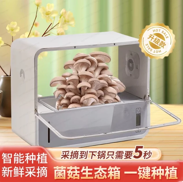 Household Automatic Humidification Shiitake Cultivator – Smart Mushroom Growing Cabinet for Home Use