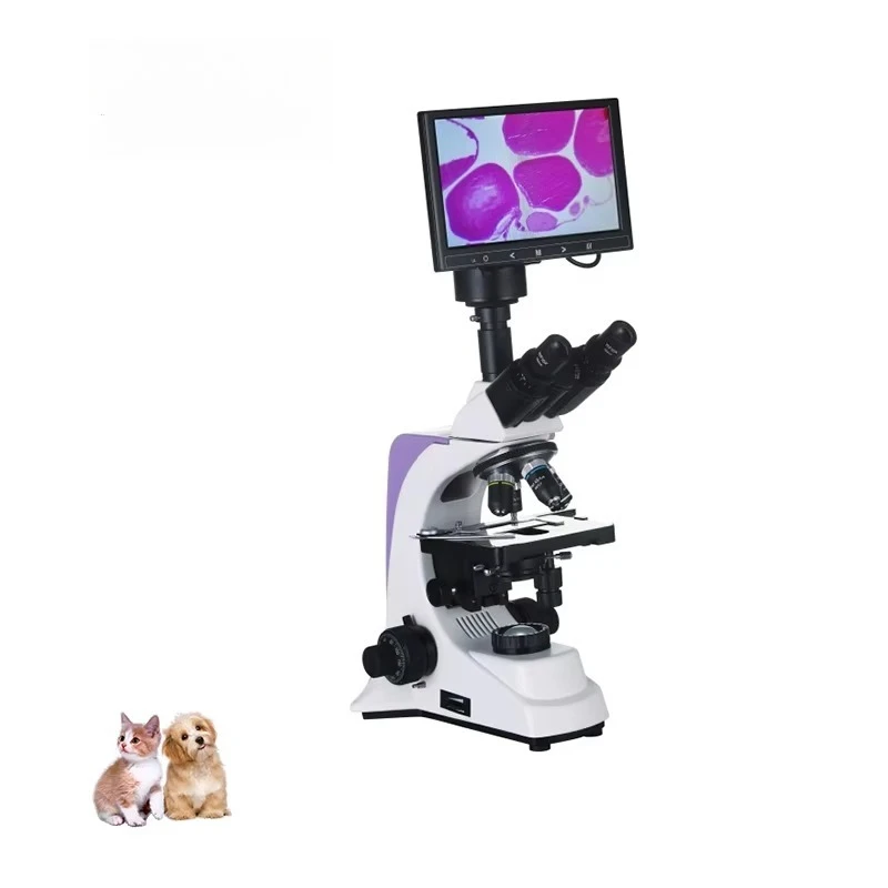 2026 Lcd Pad Microscope Veterinary Equipment Laboratory Binocular Microscope for Vet Clinic Use and Commercial Equipment