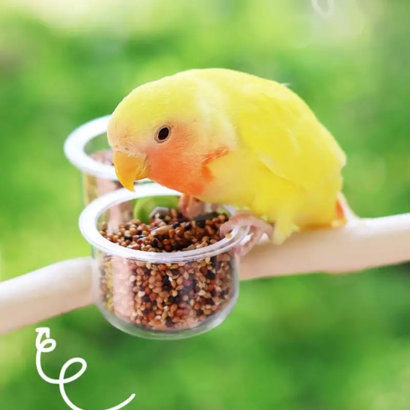 E8BD Bird Cage Mount Cup Set Parrots Feeder Cup Toy Bowl Gym Toy with Clip