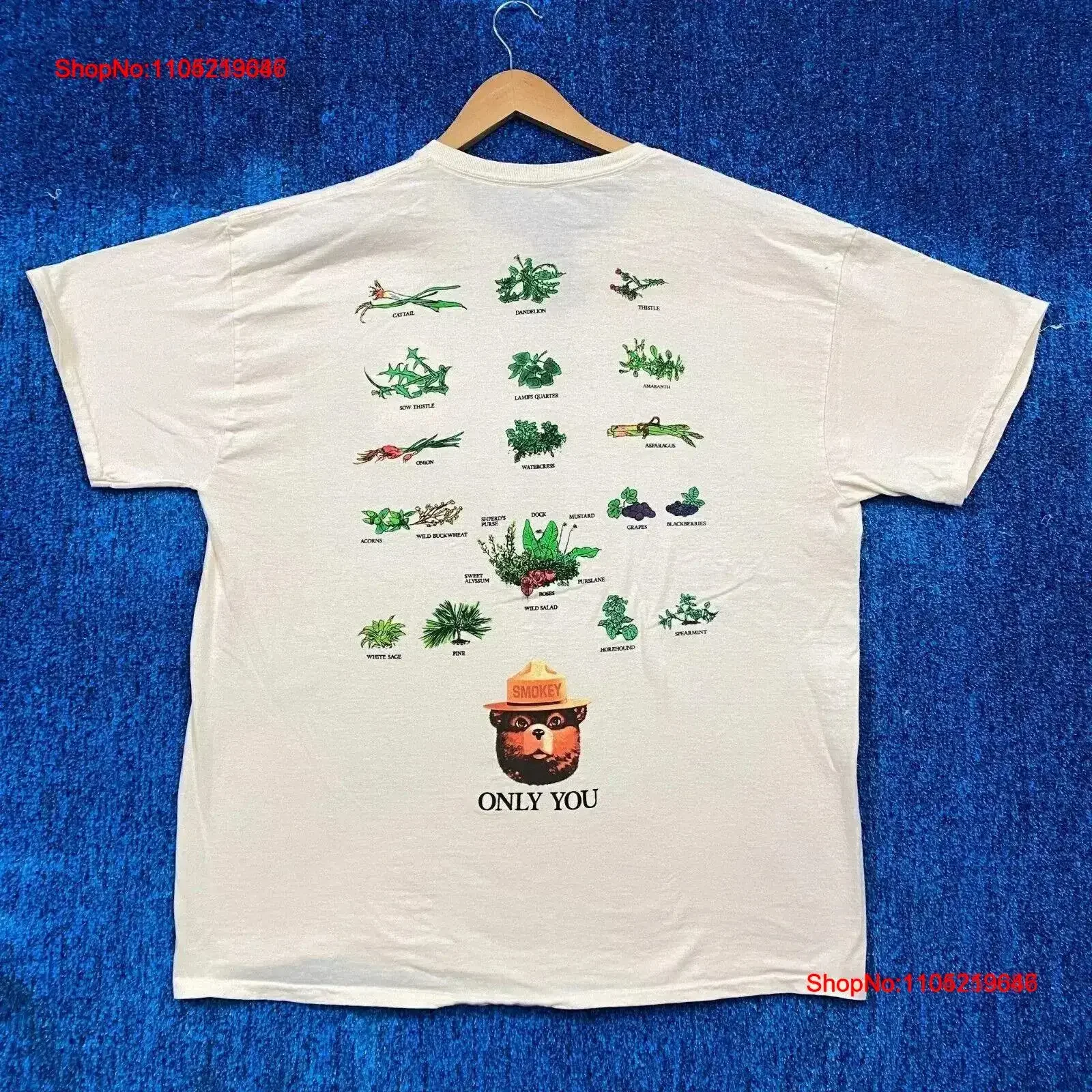 Smokey the Bear Only You Can Prevent Wild Fires Promo T Shirt XL vintage Washed streetwear graphic Slightly Stylish Soft