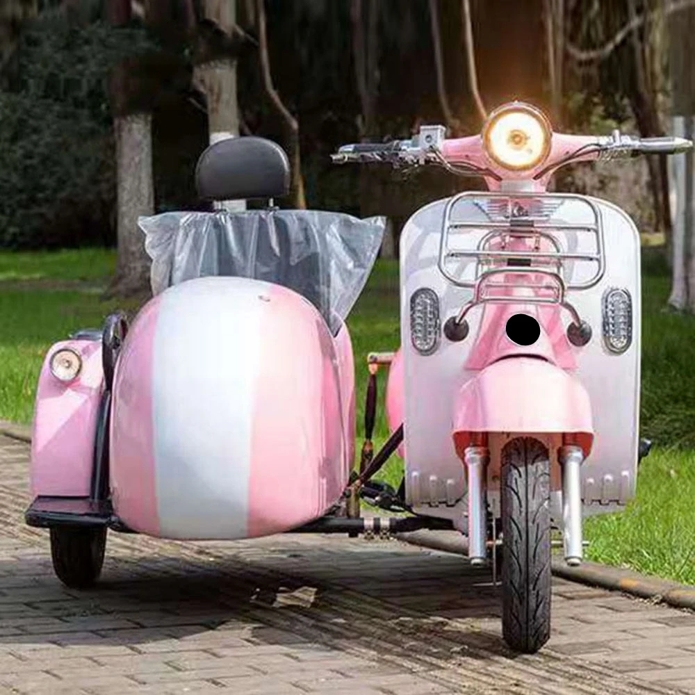 1000w 60v 20Ah beautiful roman holiday vespa 3 wheel scooter electric motorcycle two seats electric tricycle hot sale in Europe