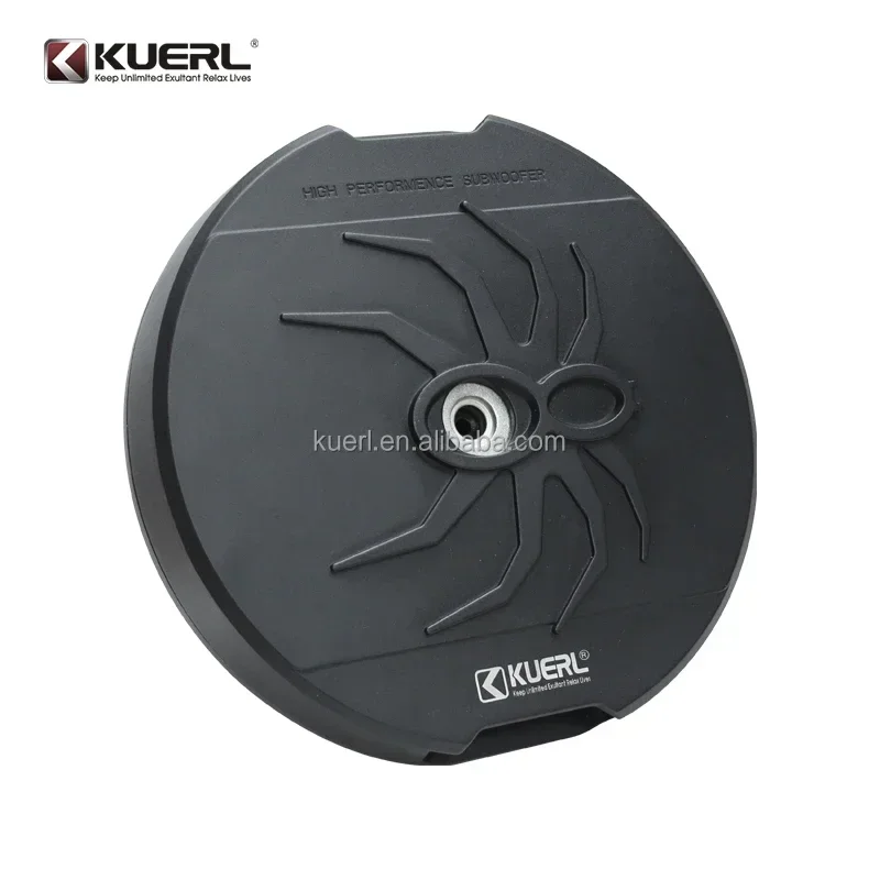 2026/Wholesale 12-Inch Active High-Power Car Audio Subwoofer DC 12V for Car Audio Retrofit Manufacturers' Spare Tire