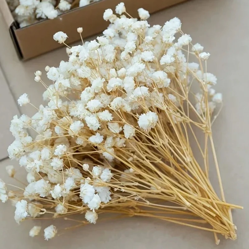 50pcs Natural Mini Dried Baby's Breath Flowers Real Touch Small Bundle for Resin Crafting DIY Wedding Home Decor Gift