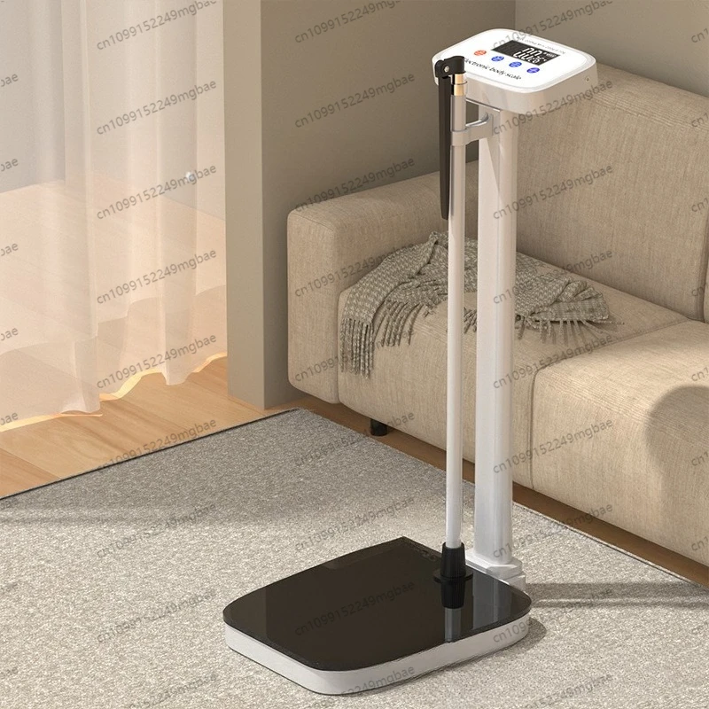 Electronic Height & Weight Scale for Home, Medical Accuracy Digital Body Measure, All-in-One Health Monitoring Device