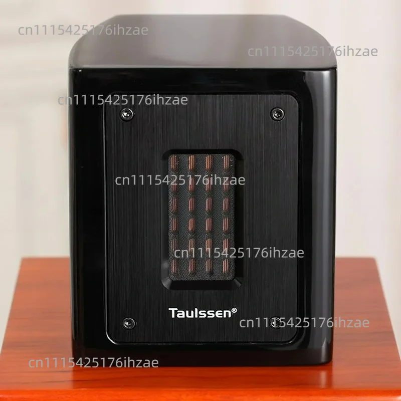 Brand New External Fifth Generation Fever And Other Magnetic Field belt Type External UHF Speaker Power 30W TAULSSEN T3