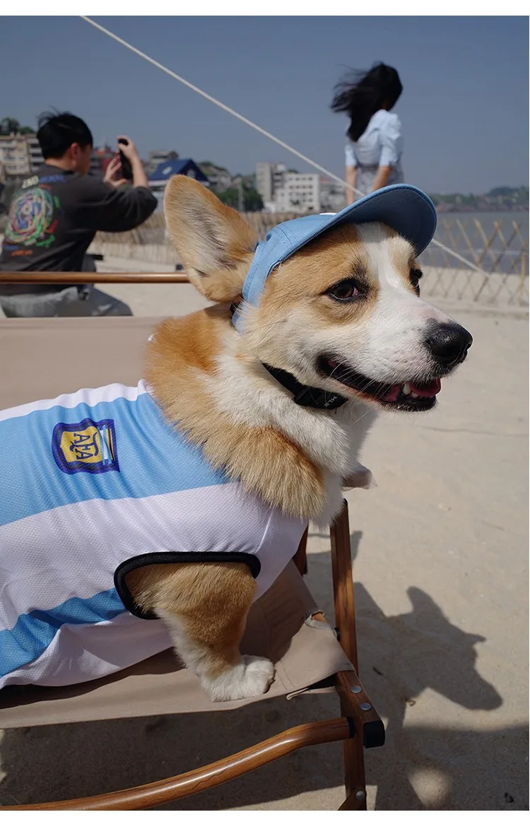 Pet Hat.