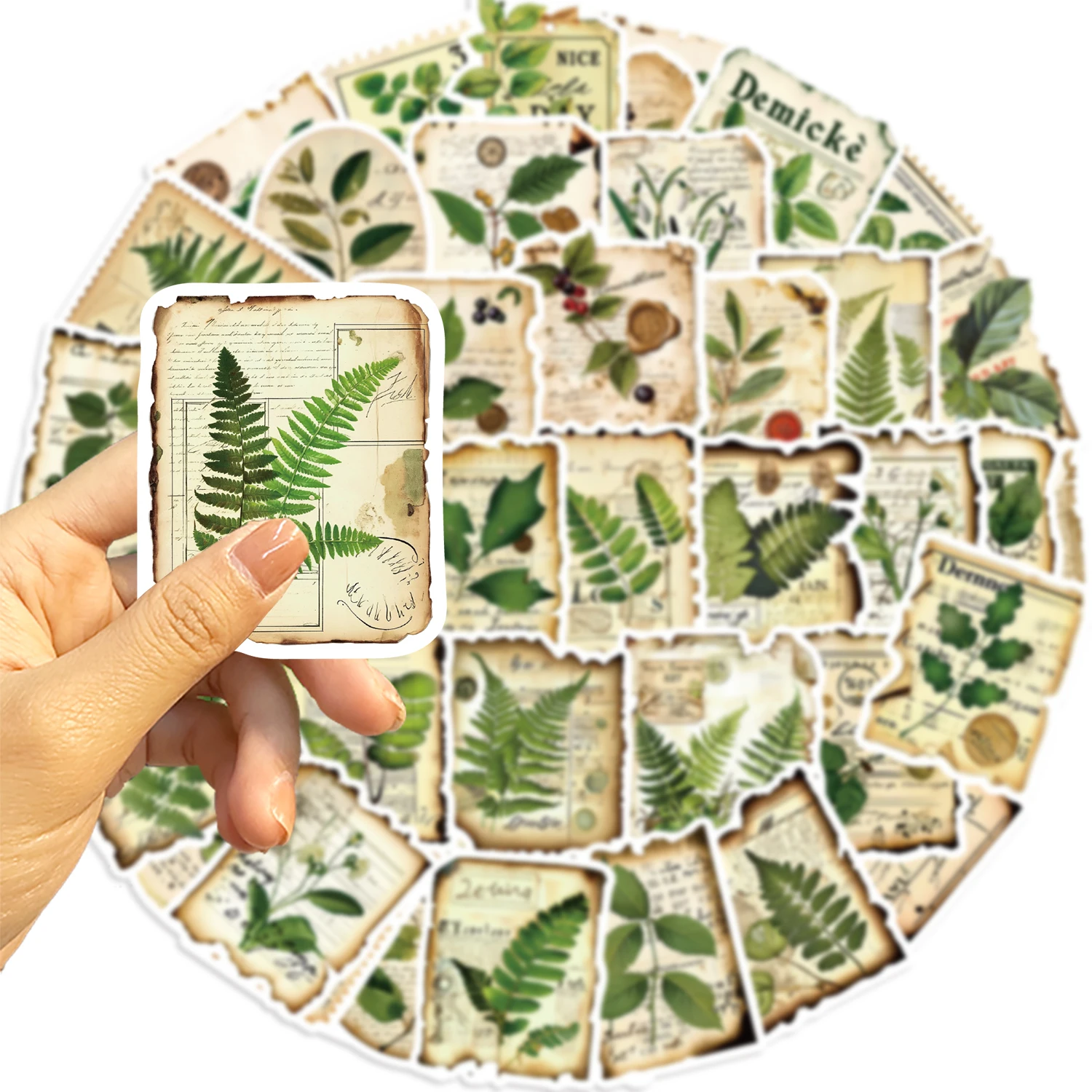 50pcs Botanical Garden Label Fragment Stickers Kawaii Waterproof Graffiti Decals for laptop Guitar Suitcase Skateboard Kids Gift