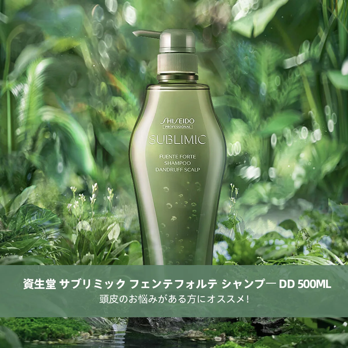 yZ[z Tu~bN tFetHe _htXJvVv[ DD 500mL