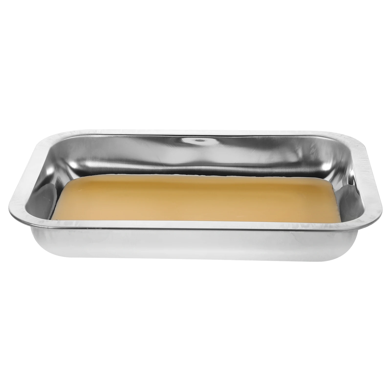 

Stainless Steel Dissection Tray Anatomical Disk Wax Plate Lab Equipment Teaching Instruments Professional Grade