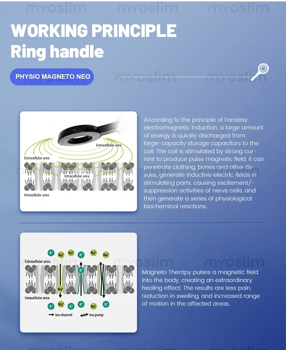 Tragbares Professionelles Physio-Magneto PEMF Magnetotherapie-Gerät - Neueste Schmerzlinderung und Therapie für Sportverletzungen in der Physiotherapie – Detail 8