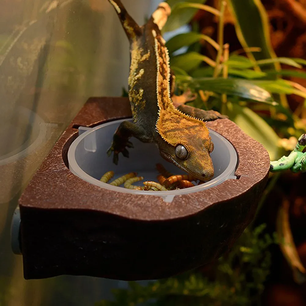 

Feeder Lizard Feeder Bowl Plastic Reptiles Pet Feeder Bowl Food Dish Suspension Type for Lizard