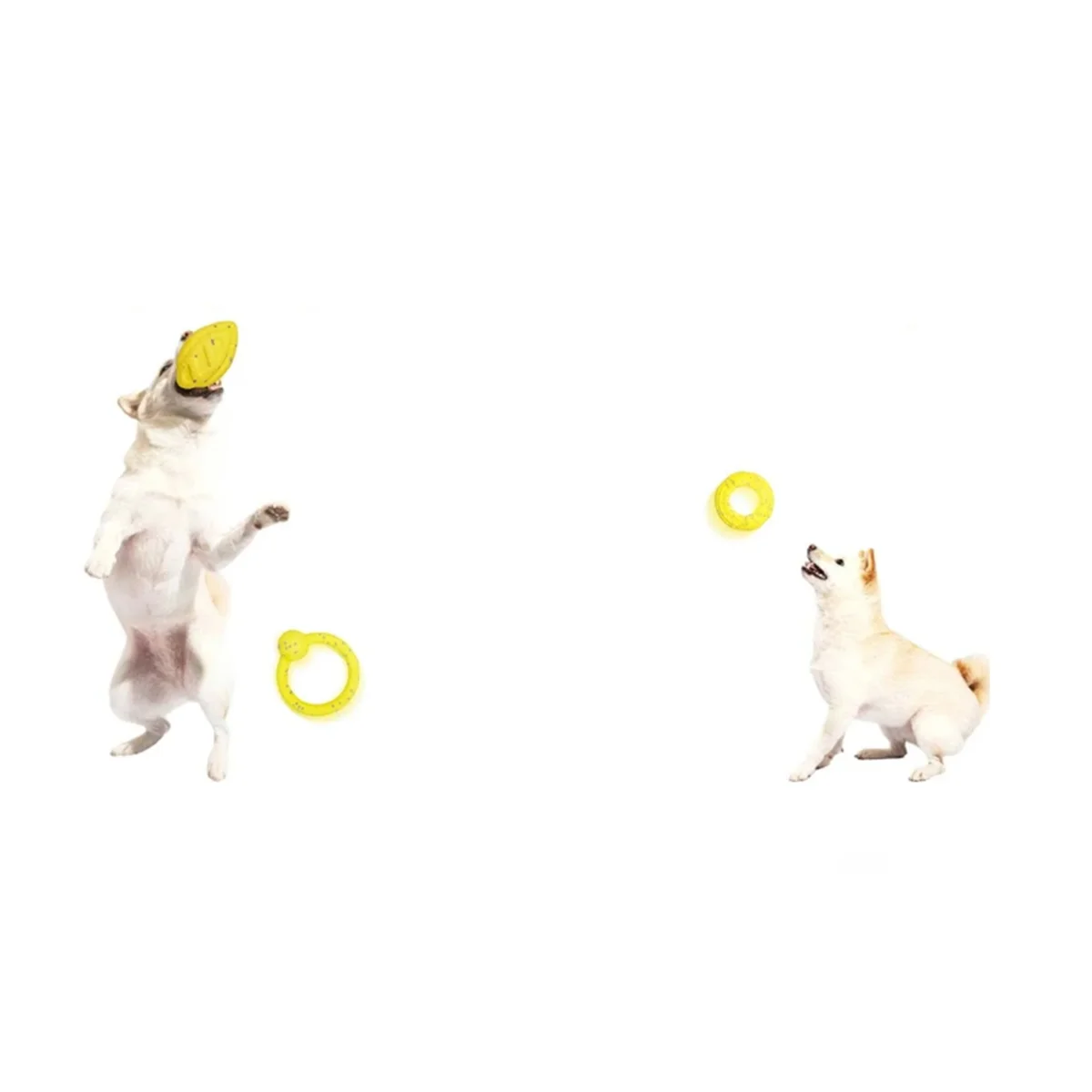 

【Livraison-Rapide!】Шар для жевания собак