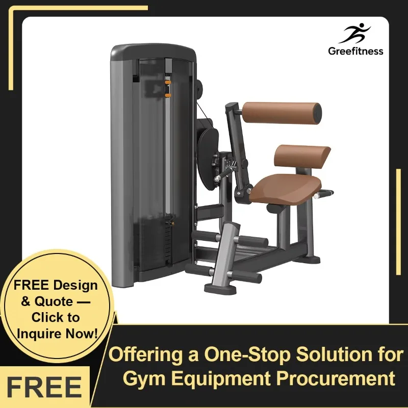 

YTYIN Pin Loaded Commercial Gym Strength Training Fitness Equipment Lower Back Extension Machine OEM/ODM Support