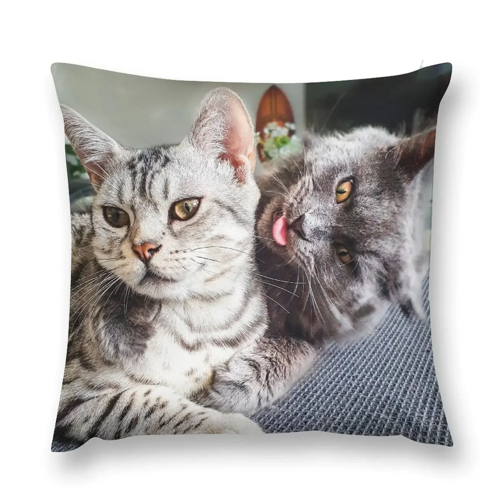 

Apollo and Cosmos Throw Pillow Decorative Cushion Cushion Cover For Sofa pillow