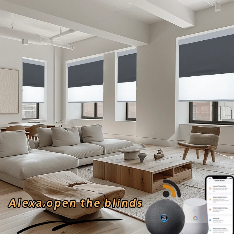 Custom Dimensions Dual Layer Controlled By Smart Life Wifi Rechargeable Zigbee Motor Motorized Double Roller Blinds For Window