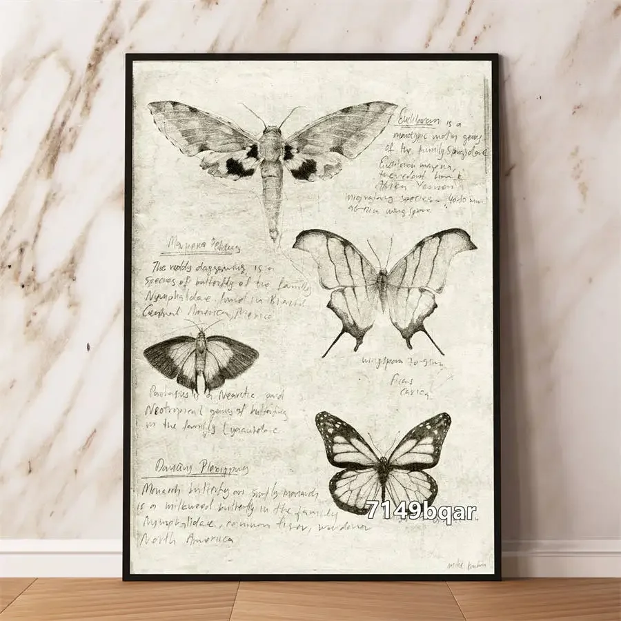 Butterfly Sea Wildlife Skeleton Research Canvas Laboratory Research Canvas Painting Modern Home Living Room Bedroom Decoration