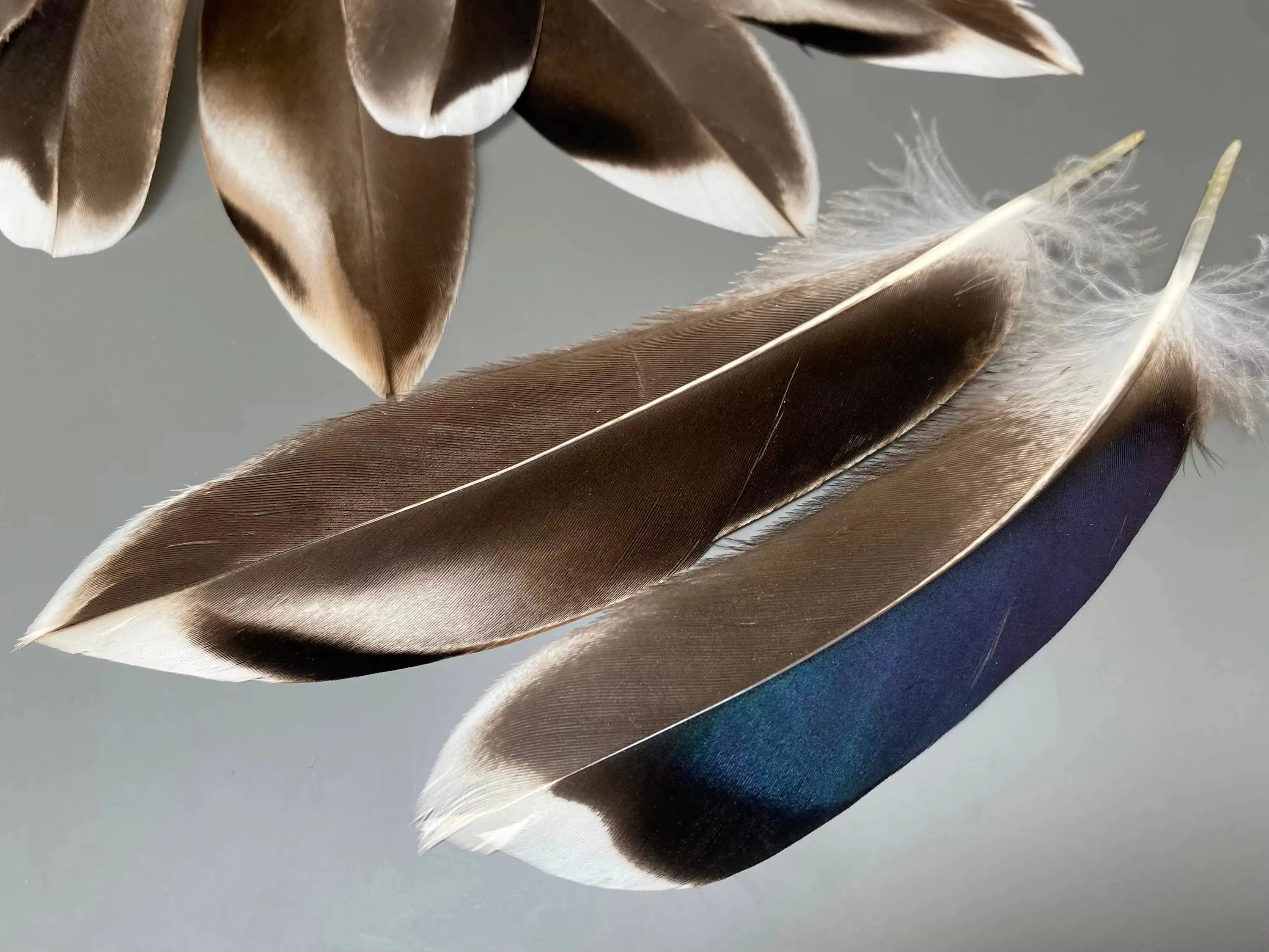 50/100pcs Natural Duck Feathers for Craft Making DIY Plumes Bulk Pack Carnival Wedding Decor Party Jewelry Gift Accessories