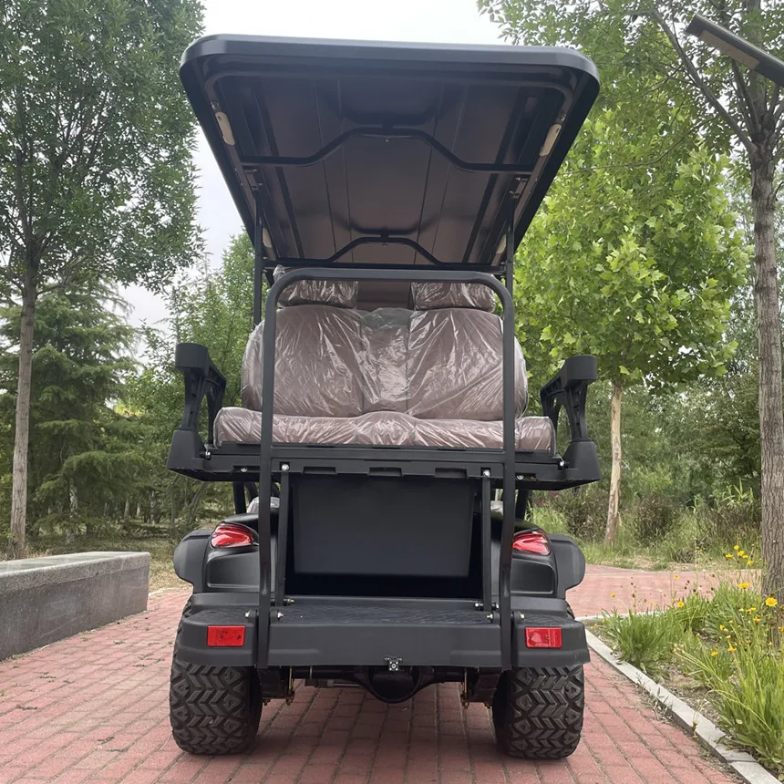 Wholesale 4 /2 Seaters Golf Car48V/60V/72V  2 Seater Lithium Battery Refrigerator /sand Bucket X2 Golf Cart Electric Sale