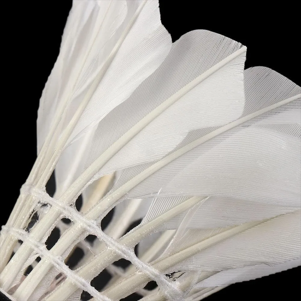 كرة الريشة LED، كرات الريشة الملونة الليلية الداكنة LED ريش الإوز كرات الريشة تضيء المكوك للداخلية O