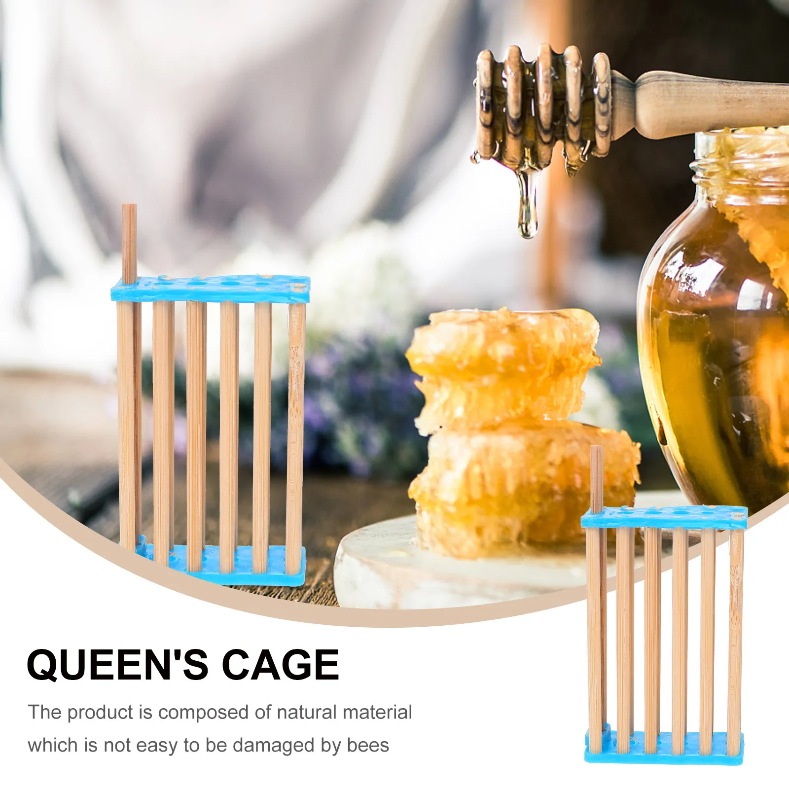 10pcs Beekeeping Queen Catching Container for Hive Inspection, Colony Splitting & Queen Safety