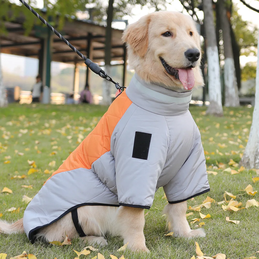 Golden Labrador Retriever Waterproof Dog Jumpsuit Overalls For Medium Large Dogs Big Dog Winter Warm Cotton Blend Coat