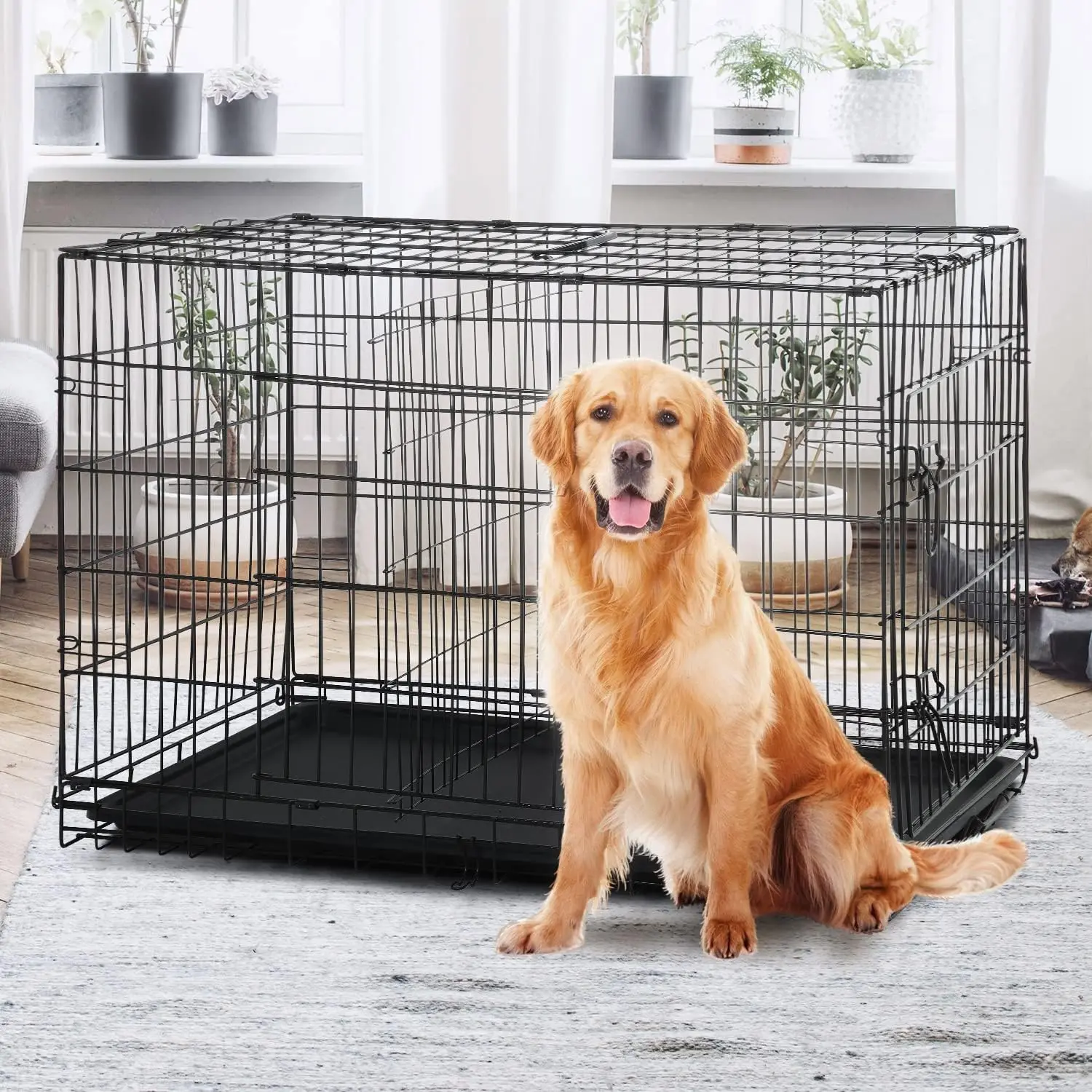 48-Inch Double Door Folding Metal Dog Crate with Divider and Leak-Proof Pan - For Medium to Large Breed Dogs