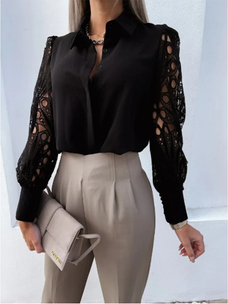 

Lace Lapel Long Sleeved Solid Color Slim Fit Women's T-shirt Fashionable Elegant Daily Office Urban Style Spring Top